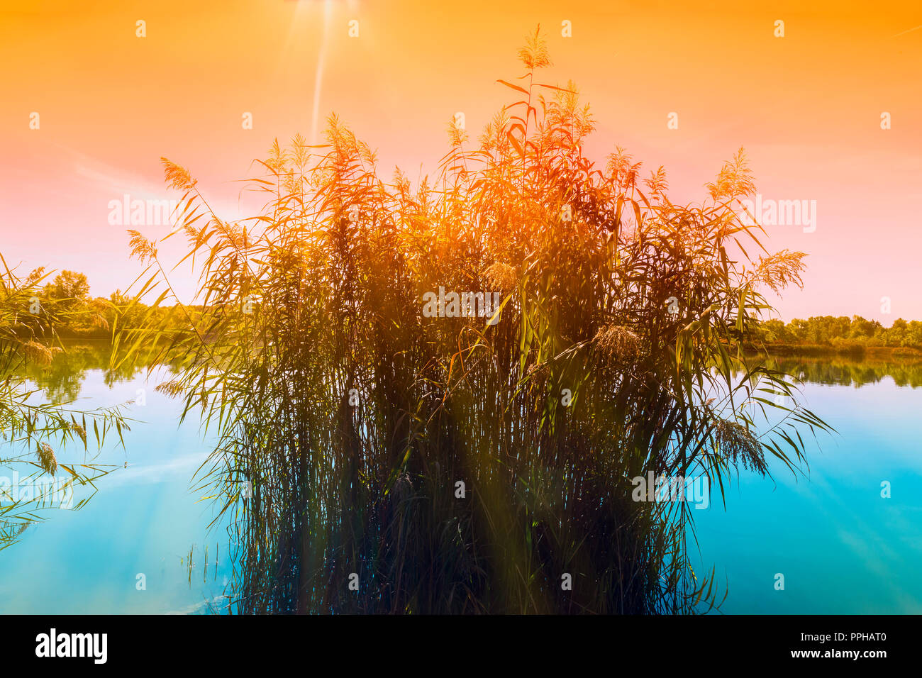 Filtrer la photographie, Wienerberg Teich, Autriche, Vienne Banque D'Images