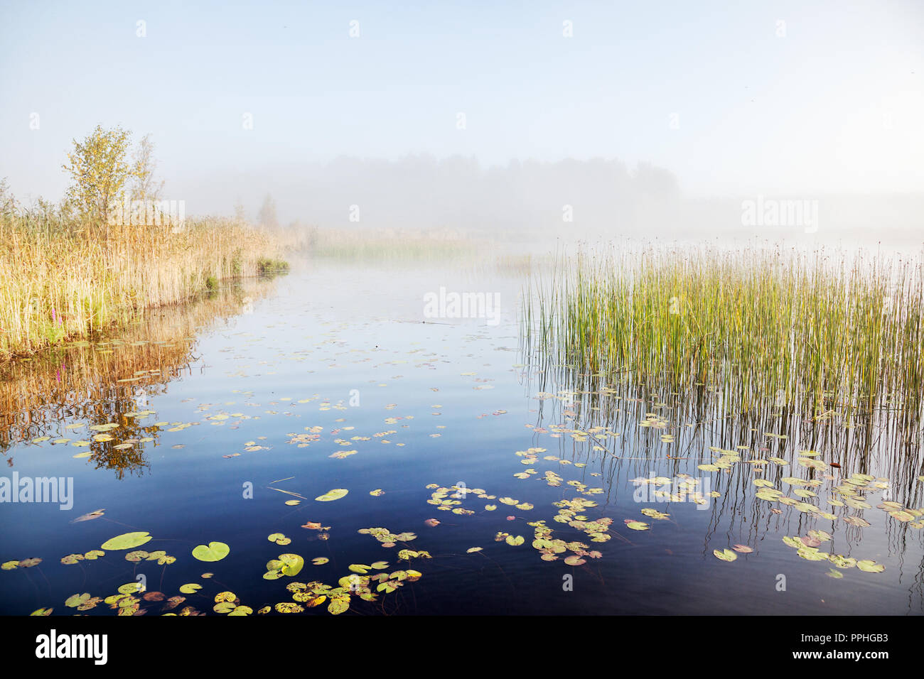 Brume sur un lac à l'aube Banque D'Images