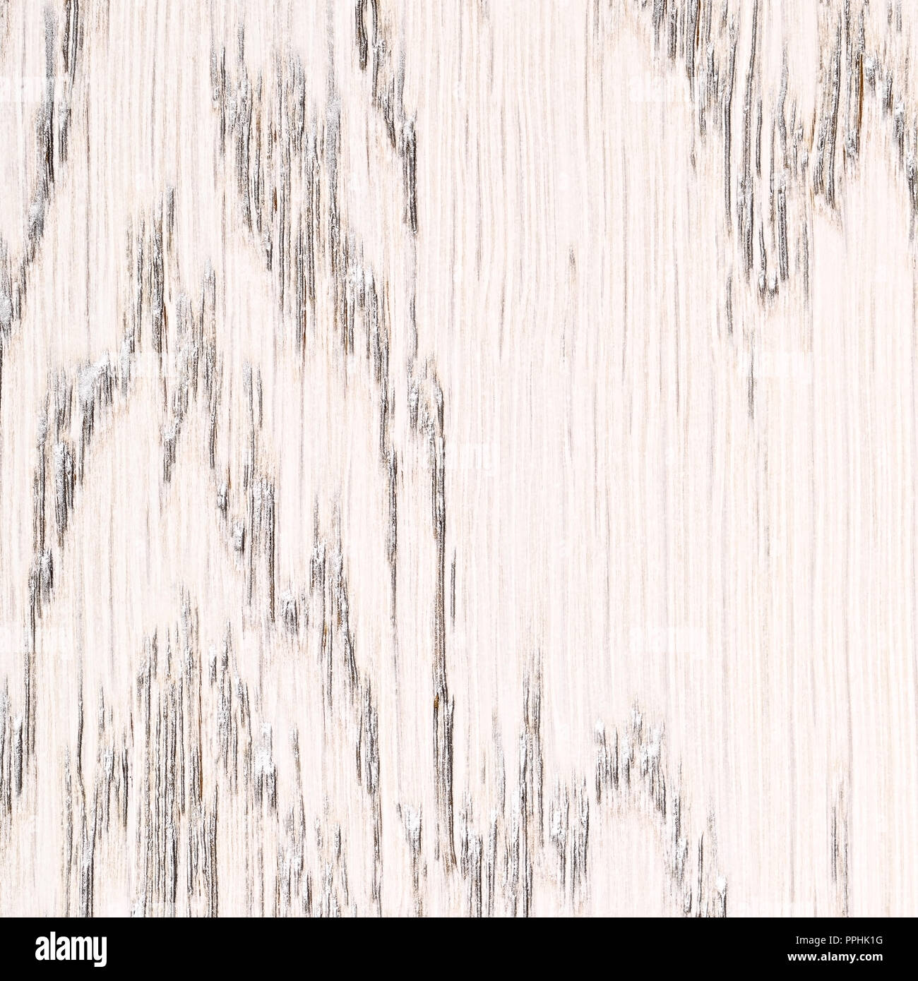 Texture bois chêne peint blanc, Close up contexte Banque D'Images