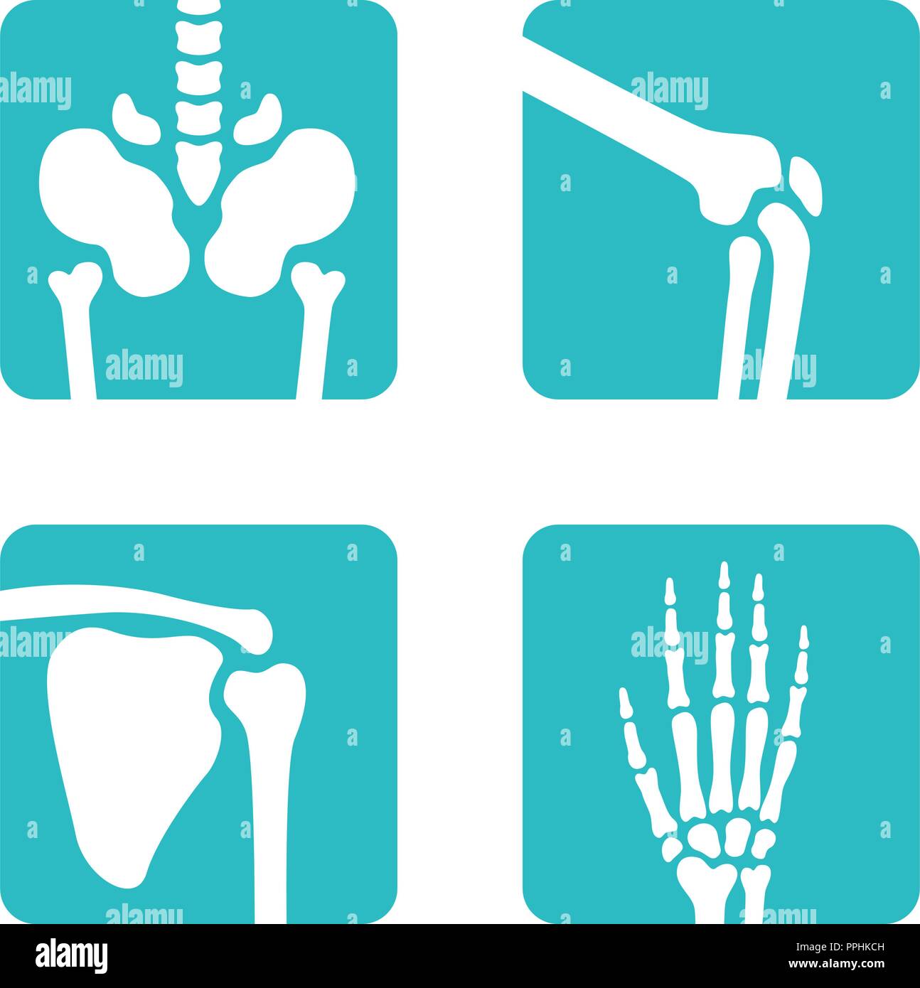 Ensemble de meubles et les os du squelette des symboles. Vector bassin, genoux, de l'omoplate, part d'icônes. Les boutons de l'application médicale Illustration de Vecteur