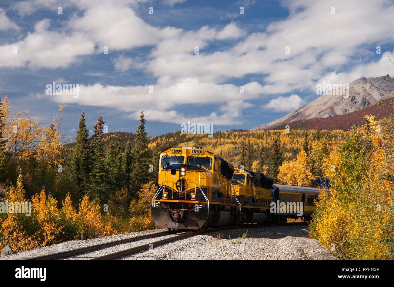 Alaska Railroad, Automne, Denali National Park, Alaska Banque D'Images