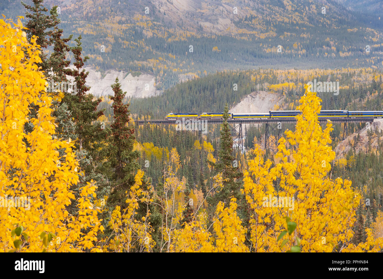 Alaska Railroad, Automne, Denali National Park, Alaska Banque D'Images