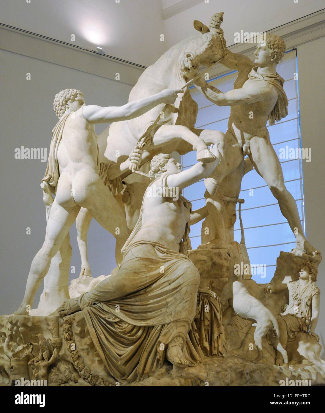 Les Farnèse et Bull. Copie romaine (3e siècle) d'une sculpture  hellénistique. Mythe de la Dirce. Elle a été attachée à un taureau sauvage  par les fils d'Antiope, Amphion et Zethus. De thermes