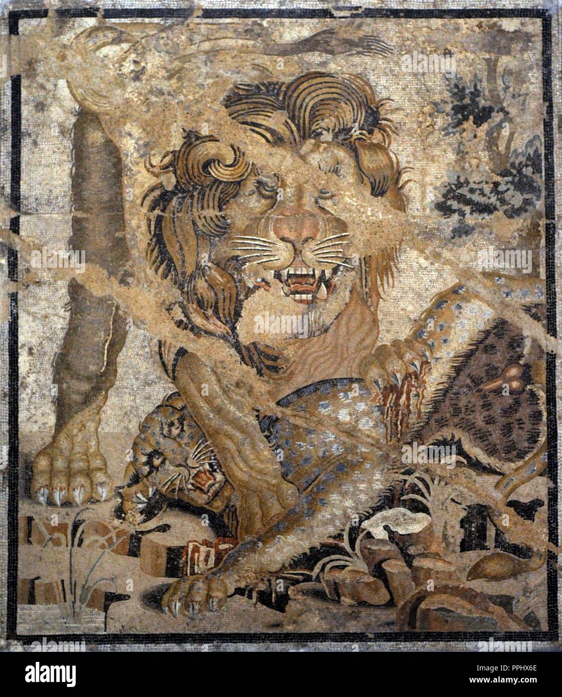 Mosaïque de Lion et Léopard. 1re ch. BC. À partir de la chambre des colombes, Pompéi, Italie. Musée Archéologique National. Naples. L'Italie. Banque D'Images