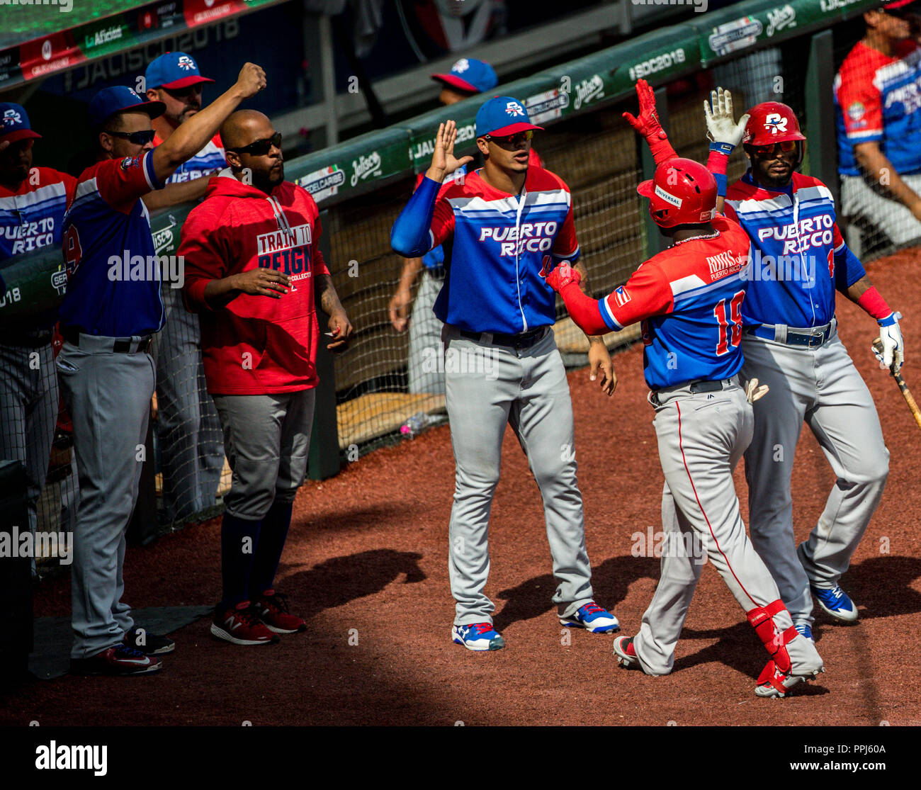 Rusney Castillo de Puerto Rico celebra con el dogout homerun. . Partido de beisbol de la Serie del Caribe con el Encuentro entre Caribes de Anzoátegui Banque D'Images