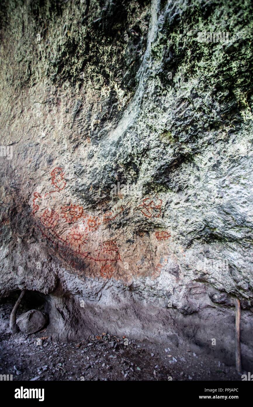 Pinturas. Pared. . Rancho de Santa Barbara **** Reserva Monte Mojino (ReMM) de la Culture naturelle International (CCI) Credito:LuisGutierrez Banque D'Images