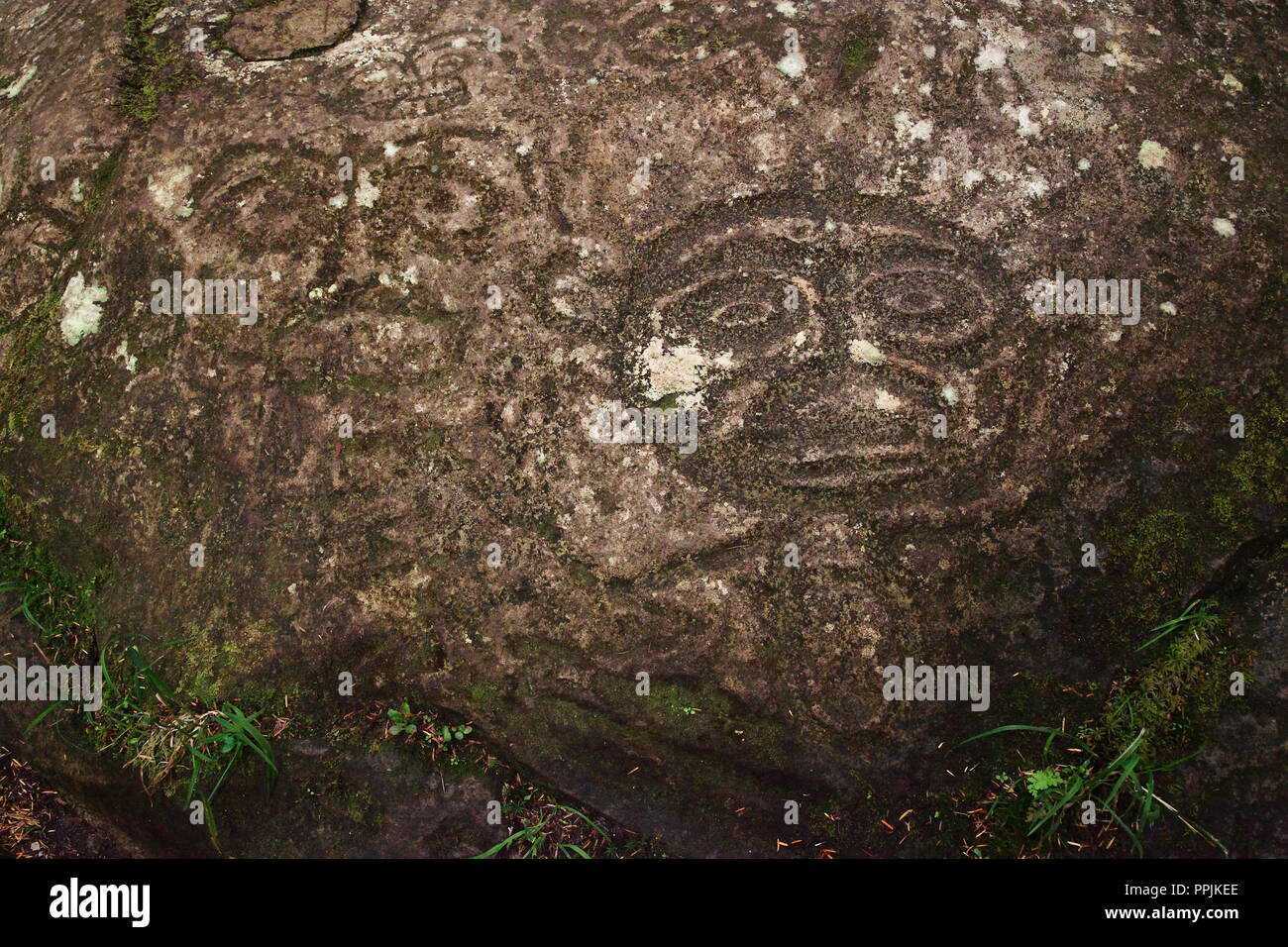 Pétroglyphes sculptés par les peuples des Premières Nations, Nuxalk quelque 10000ans, à Bella Coola, BC, Canada. Banque D'Images