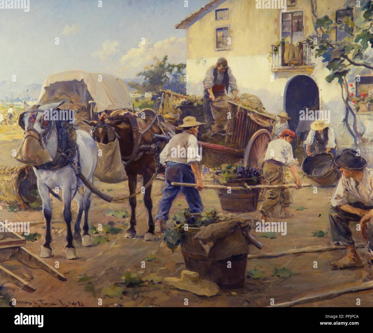 Vendimia. Óleo sobre lienzo. Siglo XIX, XX). Musée : COLECCION PRIVADA. Auteur : MAS I FONTDEVILA, Arcadi. Banque D'Images