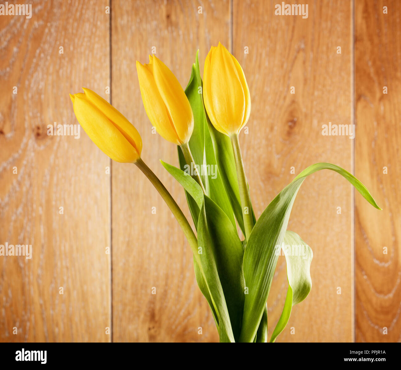 Fleurs bouquet de tulipes jaunes sur fond de bois Banque D'Images