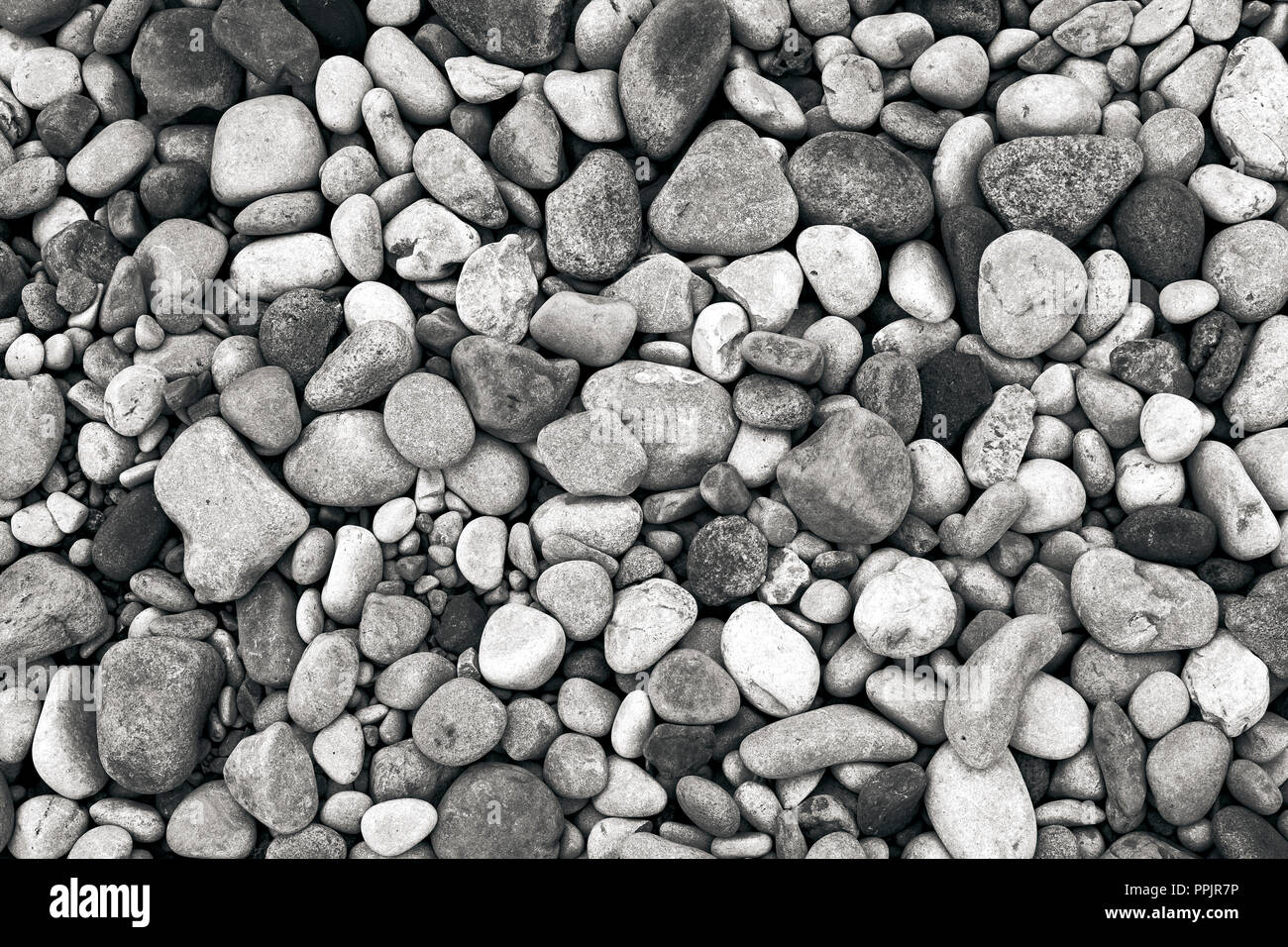 Galets de rivière, noir et blanc fond monochrome image. Banque D'Images