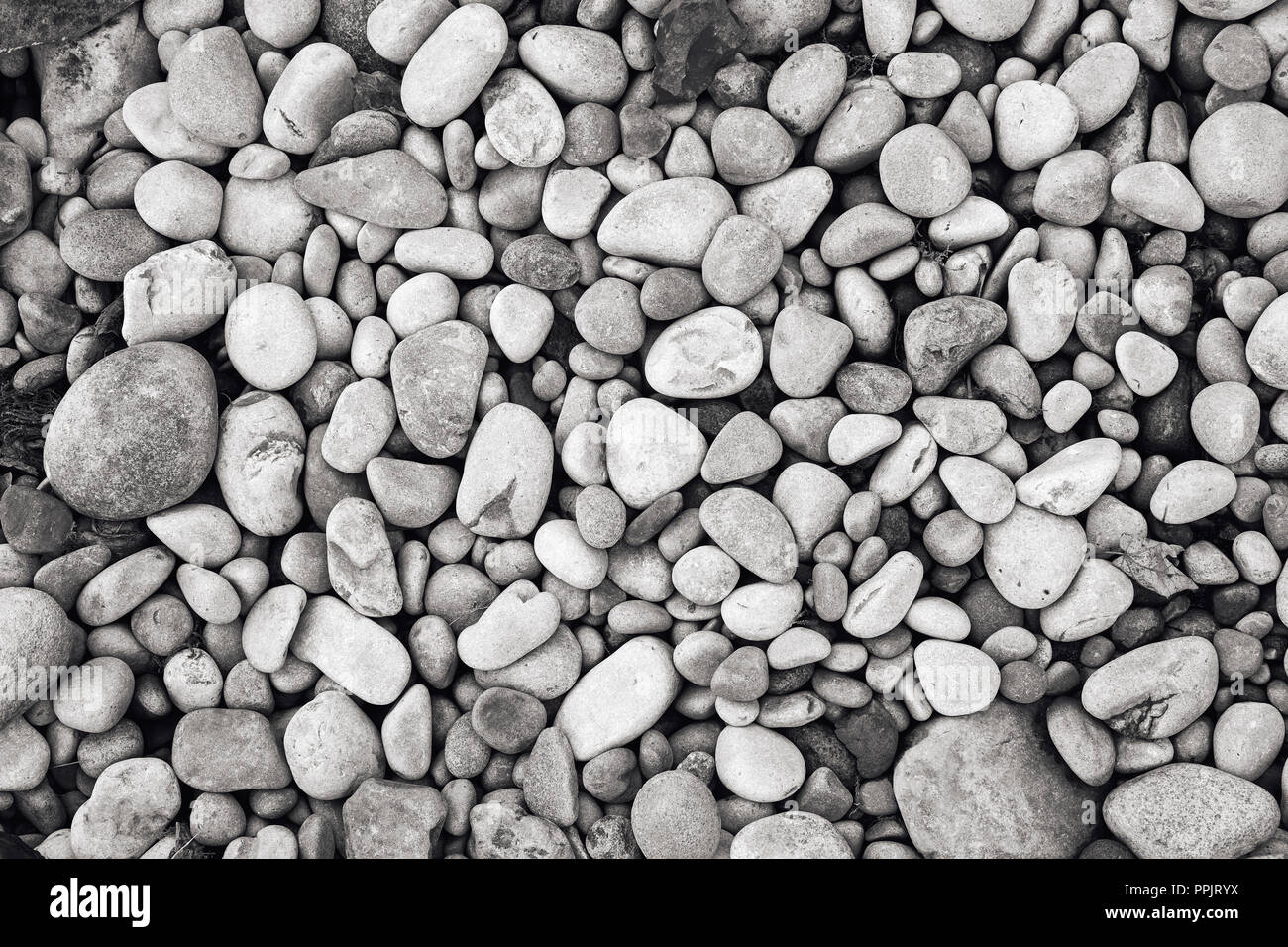 Galets de rivière, noir et blanc fond monochrome image. Banque D'Images