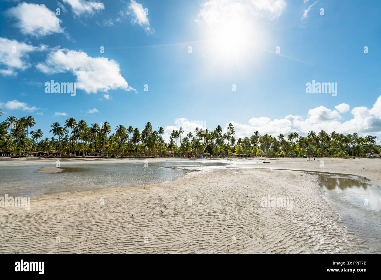 Paradise tropical Beach au Brésil, plage de Carneiros, Pernambuco Banque D'Images