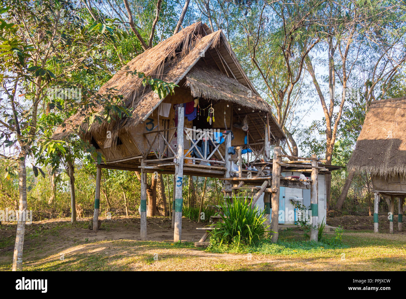 Petit bungalow à la plantation de cocotiers. Banque D'Images