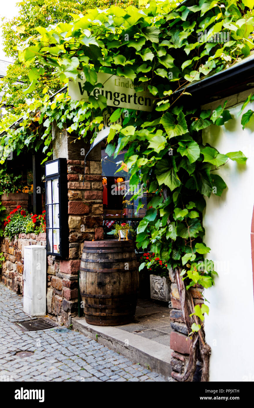 Drosselgasse à Rudesheim Hesse Allemagne sur le Rhin. Banque D'Images