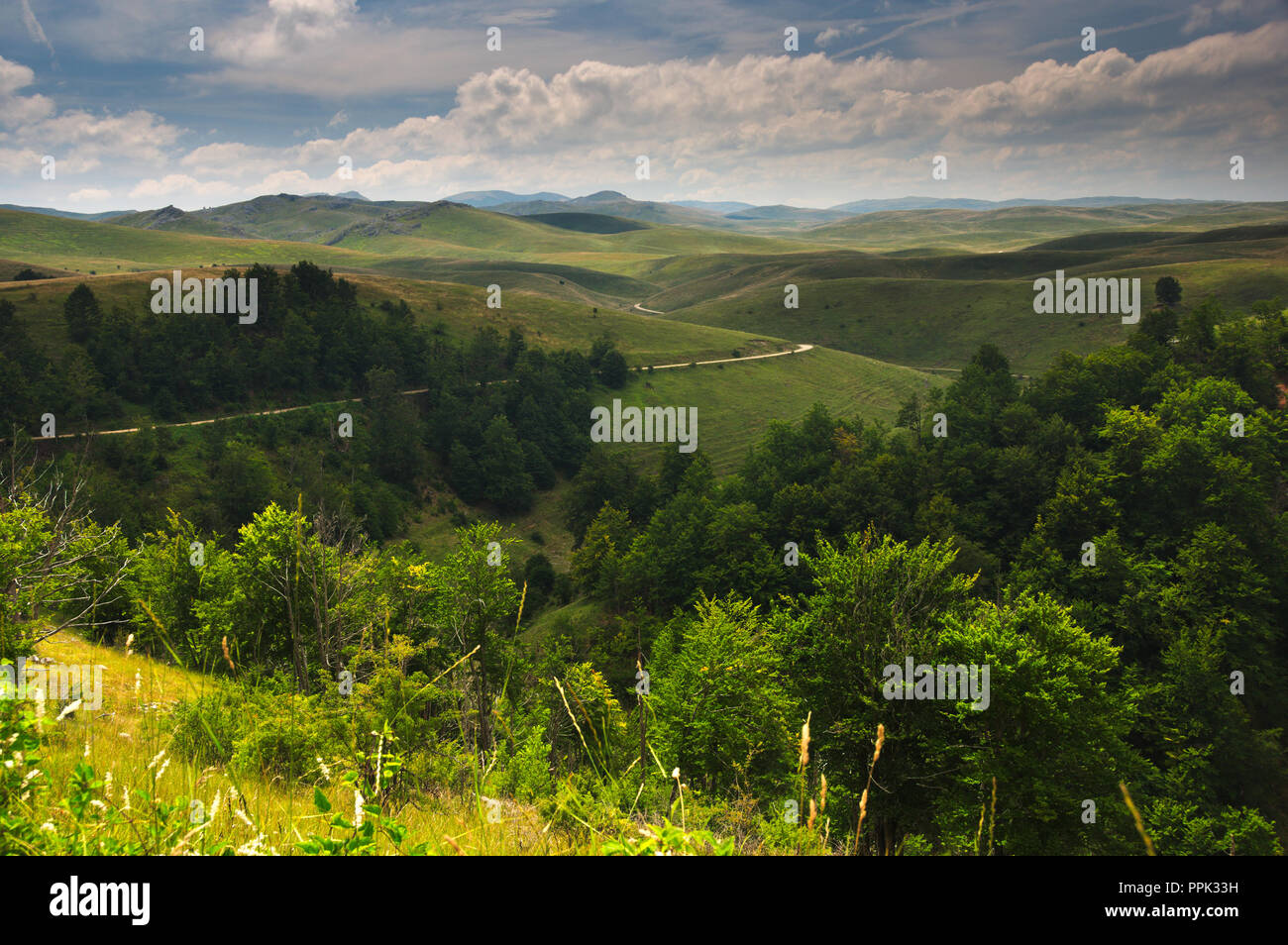 Les prairies et les collines dans la gamme de montagne Zelengora, près de Kalinovik Bosnie-et-Herzégovine. Banque D'Images