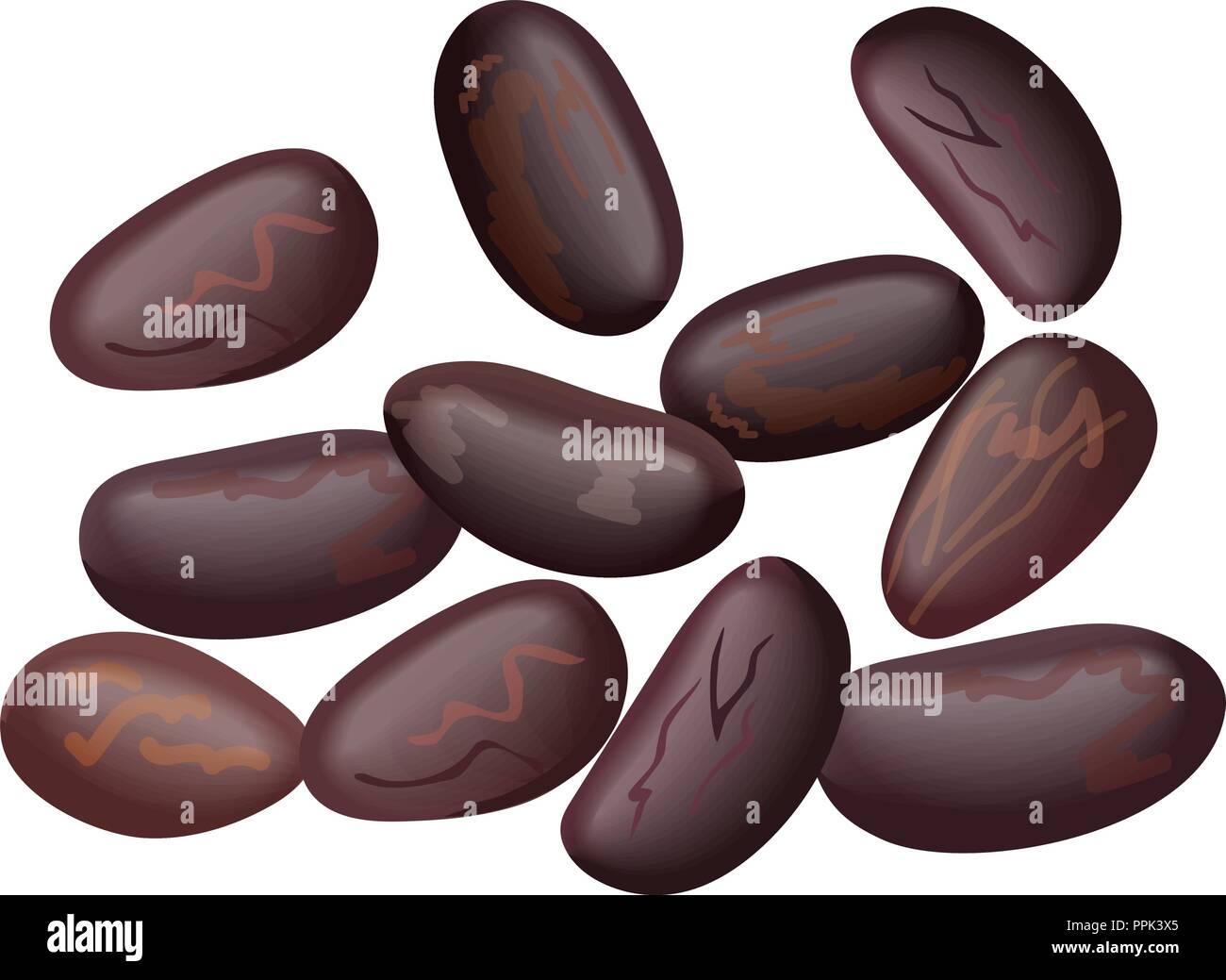 Les haricots rouges, blanc, haricot, les fèves de cacao. Les haricots ...