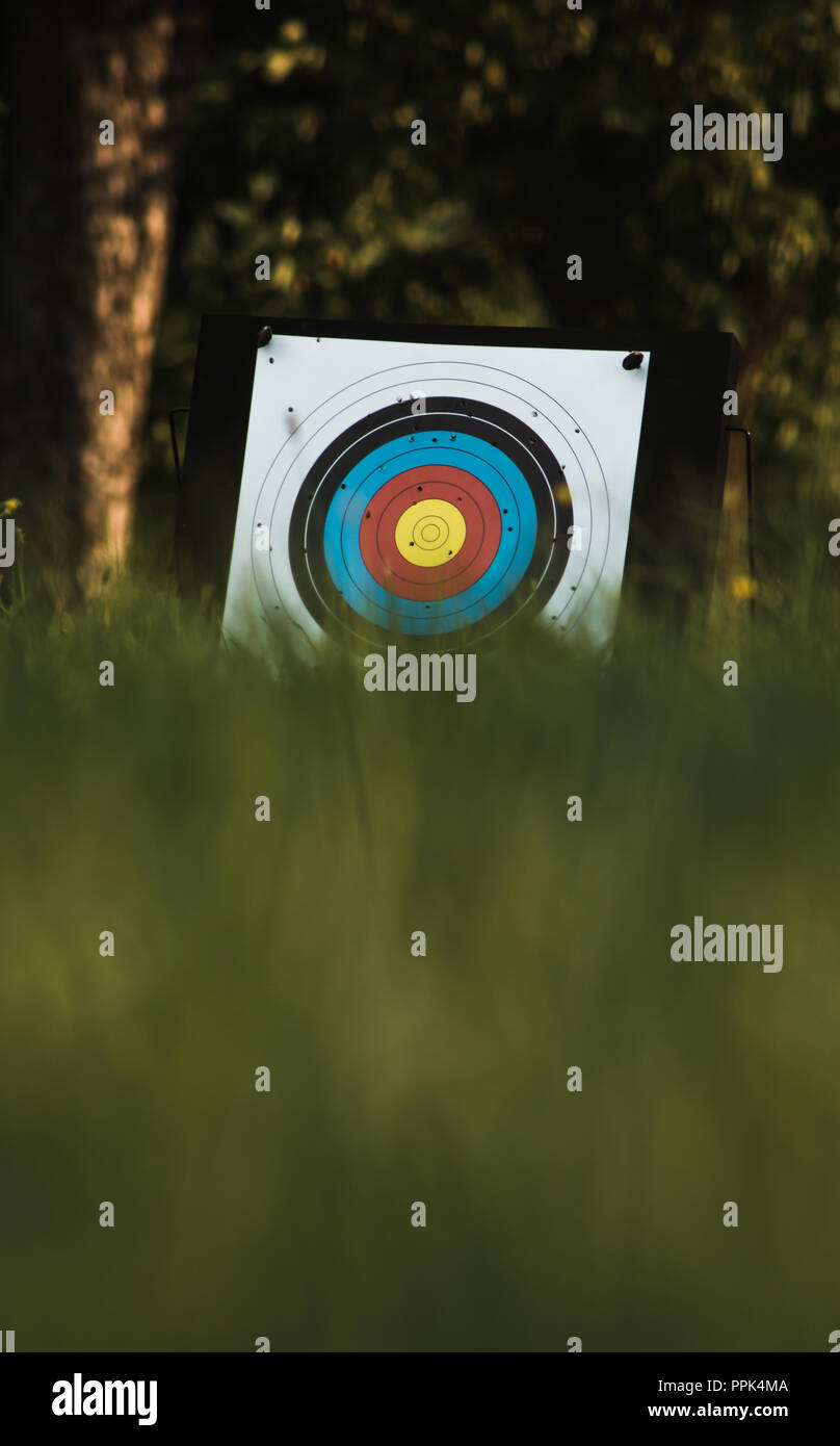Cibles pour l'arc et la flèche dans le pré Banque D'Images
