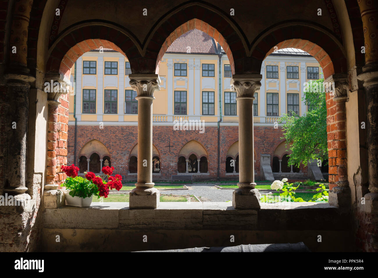 Cloître de la cathédrale de Riga, vue en été d'un Cloître médiéval fenêtre sur le quadrilatère de la ville jardin, la cathédrale de Riga, en Lettonie. Banque D'Images