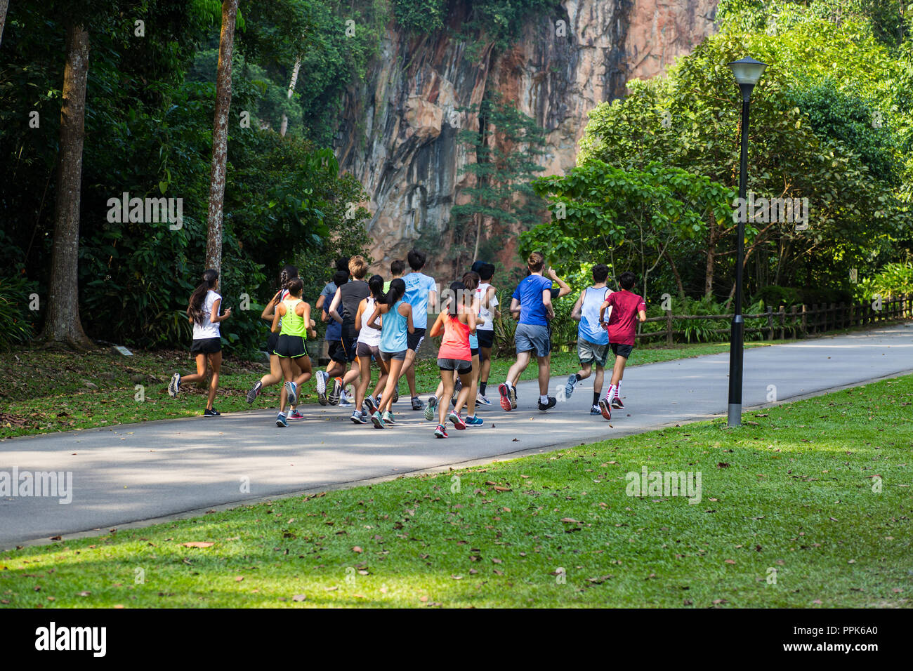 Un groupe de jeunes coureurs en bonne santé de garçons et de filles s'entraînant, courant ensemble, activité d'esprit d'équipe, Bukit Batok nature Park, Singapour. Banque D'Images
