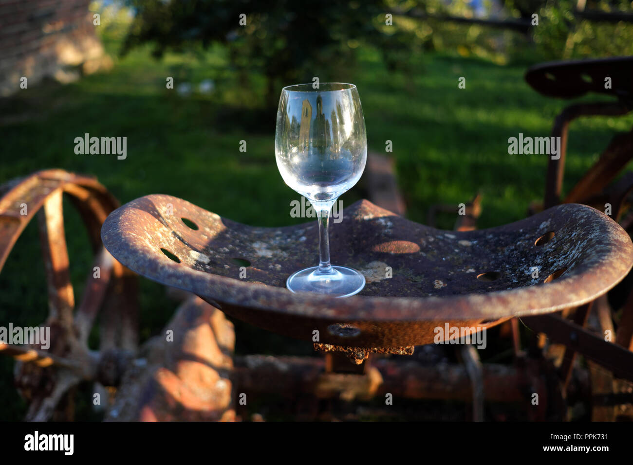 Un verre de vin à gauche dans le jardin Banque D'Images