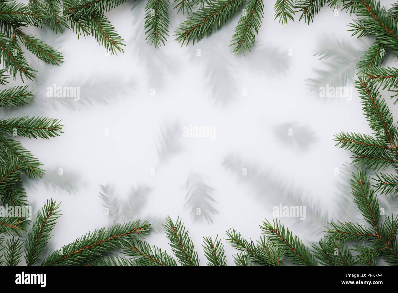 Fond de Noël avec des branches de sapin. Mise à plat, vue du dessus, copier du texte pour l'espace Banque D'Images