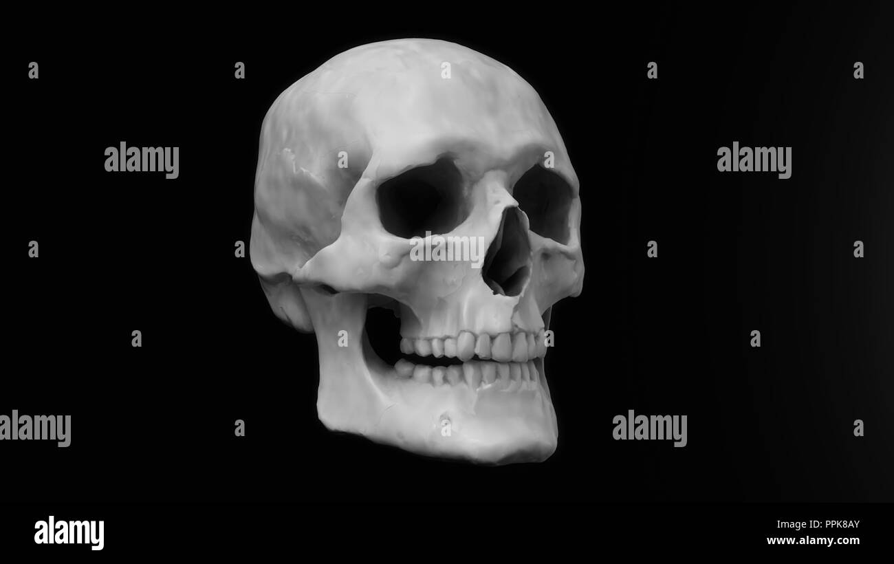 Crâne de rendu 3D et fond noir Banque D'Images