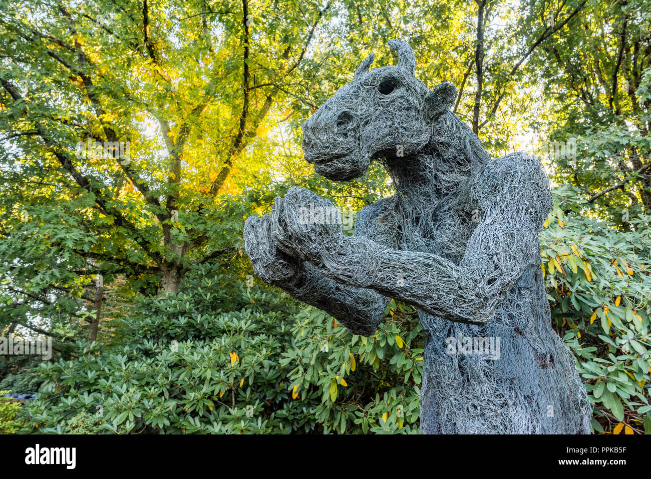 Sculpture intitulé 'Minotaur et partager" par l'artiste Sophie Ryder, (le lièvre est absente parce qu'elle a été volée) VanDusen Botanical Garden, Vancouver, Colombie Britannique Banque D'Images