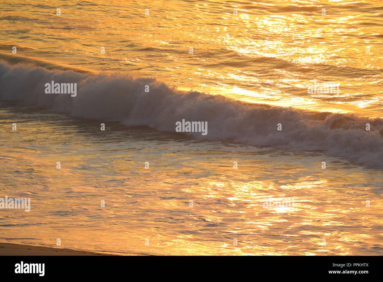 Couleur d'or de grandes vagues de l'océan Atlantique dans la lumière du soleil du matin, réflexions de Rio de Janeiro Brésil Banque D'Images