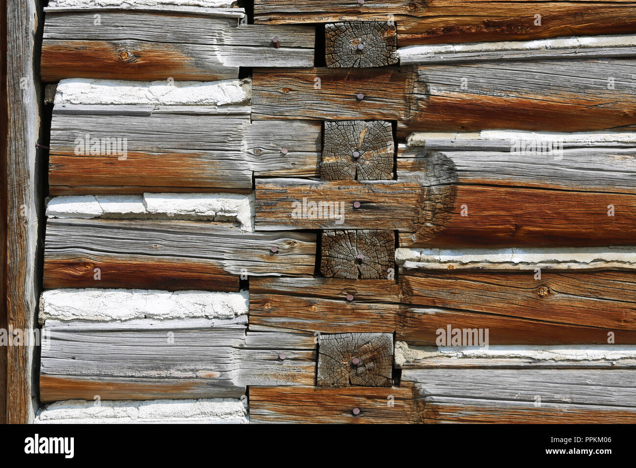 Détails de log construction d'une écurie, Mormon Row Historic District Banque D'Images