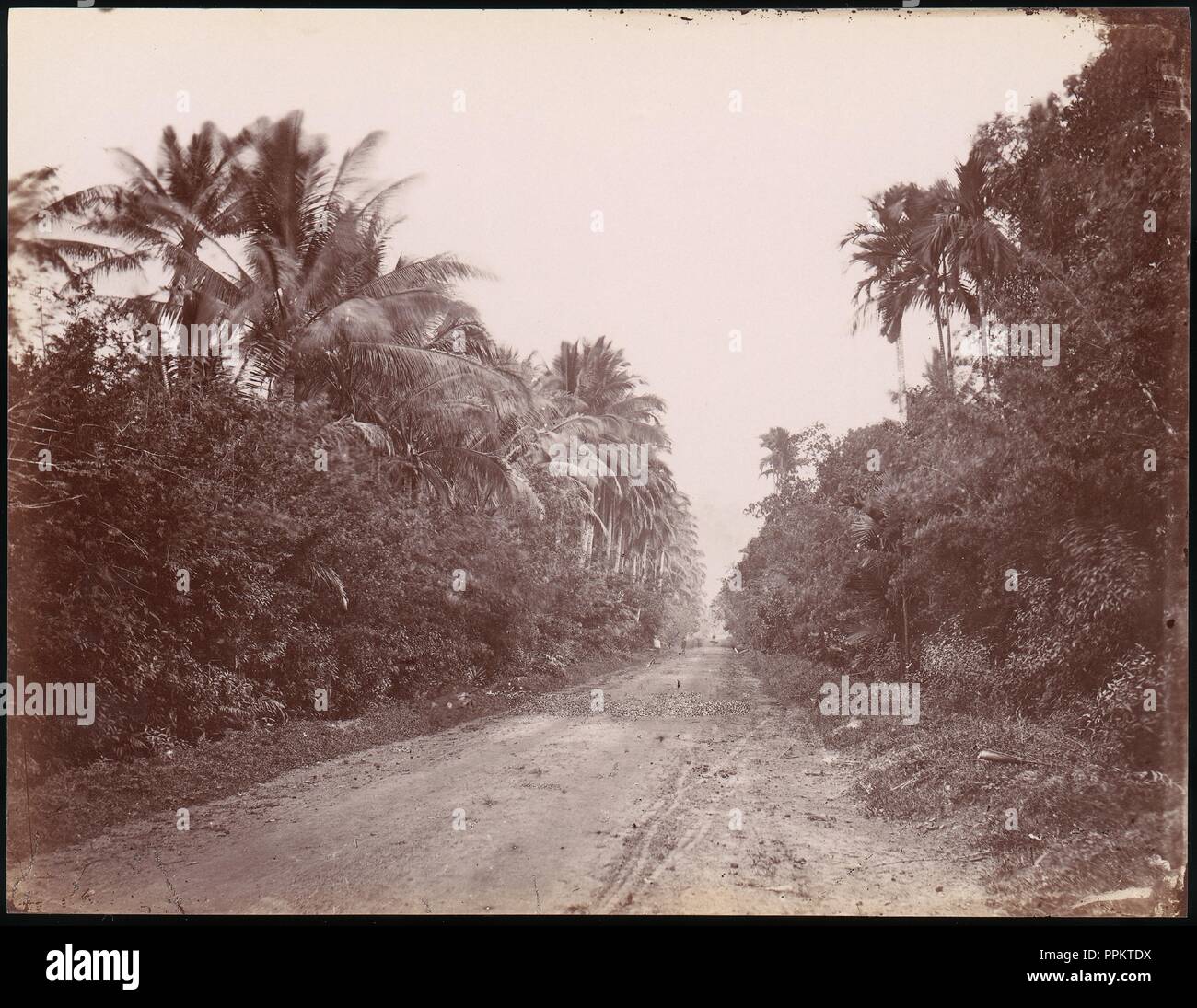 Route près de Singapour. Artiste : Inconnu. Dimensions : 20,2 x 26,3 cm (7 15/16 x 10 3/6 in.). Date : 1860s-70s. Musée : Metropolitan Museum of Art, New York, USA. Banque D'Images