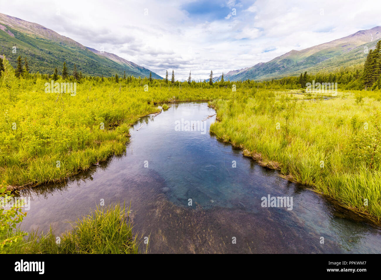 Avis de freash alimenté par des eaux dans la rivière Eagle Creek Nature Center à Eagle River en Alaska Banque D'Images