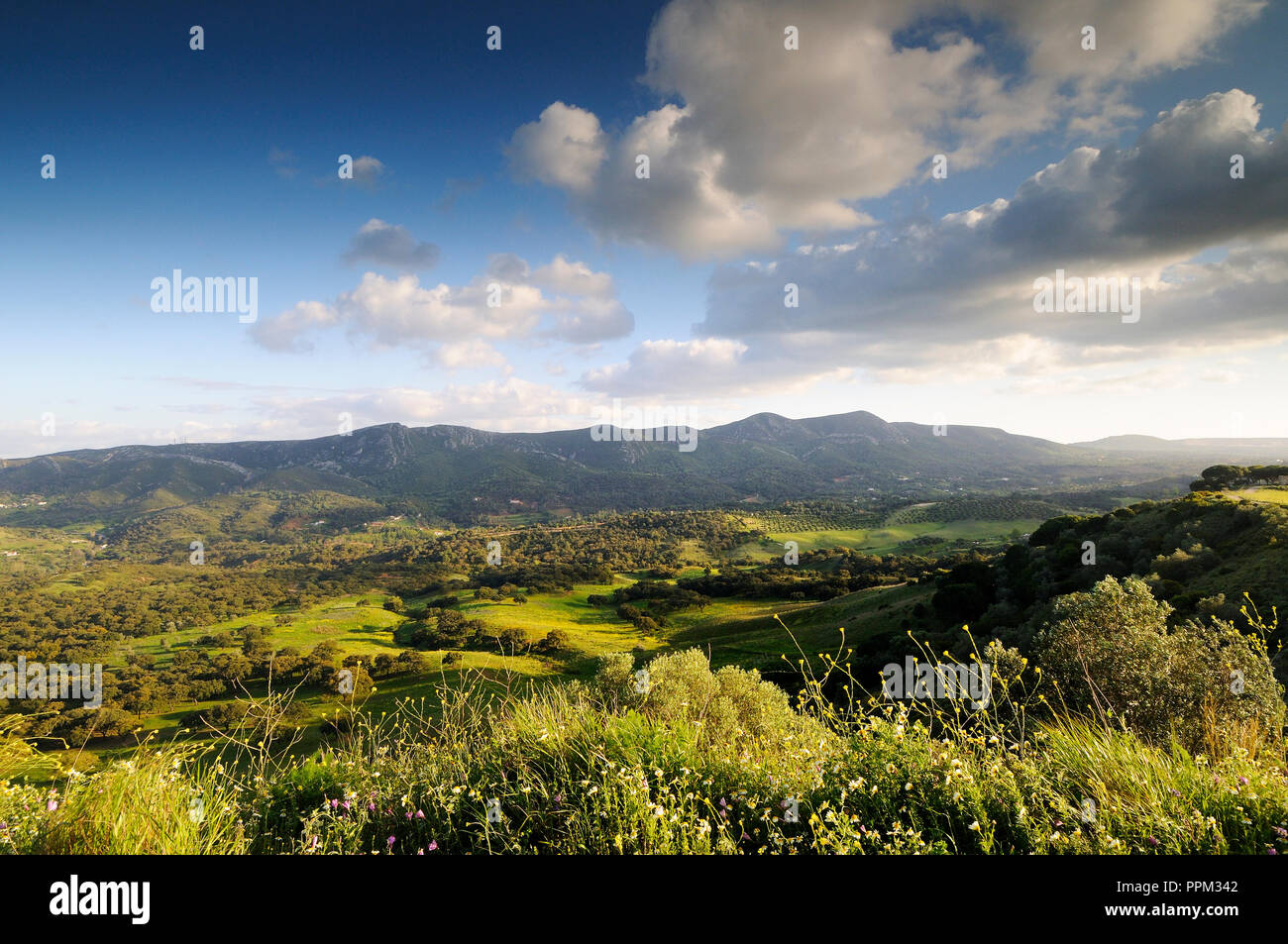 Vale dos Picheleiros. Parc Naturel d'Arrábida, Setúbal. Portugal Banque D'Images