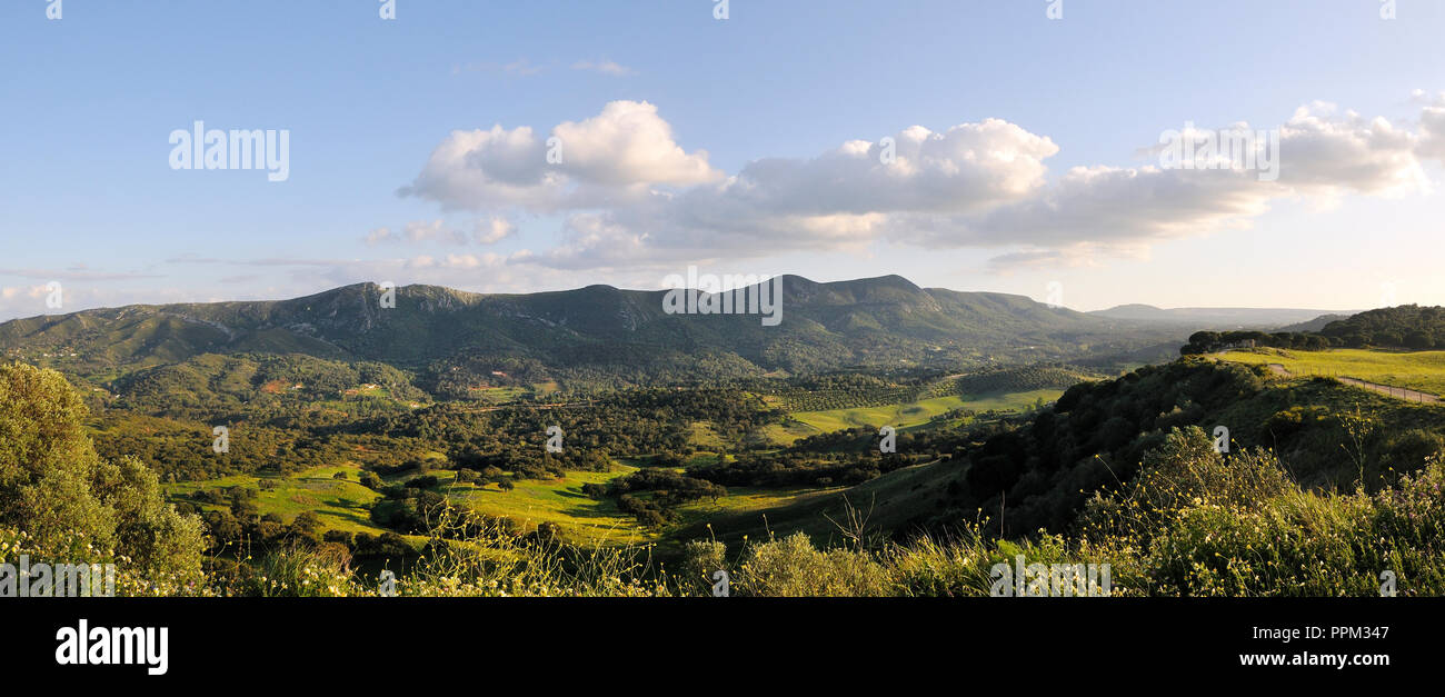 Vale dos Picheleiros. Parc Naturel d'Arrábida, Setúbal. Portugal Banque D'Images