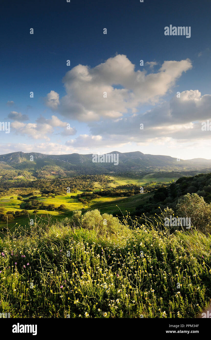 Vale dos Picheleiros. Parc Naturel d'Arrábida, Setúbal. Portugal Banque D'Images