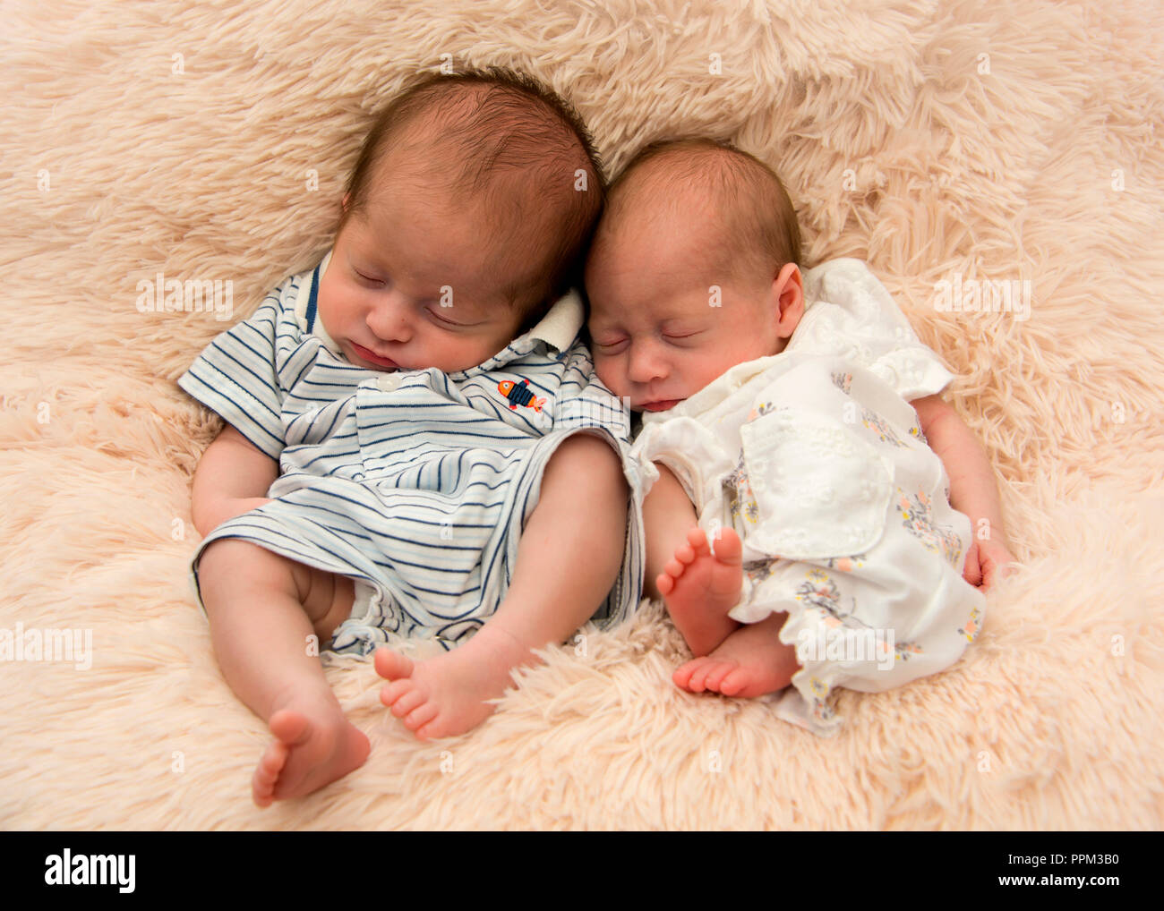 Portrait de lits jumeaux prématurés horizontale des nouveau-nés. Banque D'Images