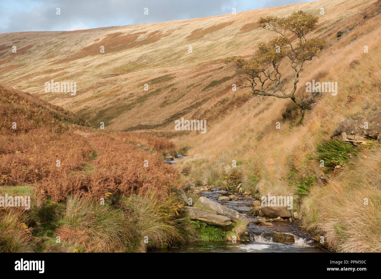 Peu Crowden Brook et Crowden peu Moor, Derbyshire Banque D'Images