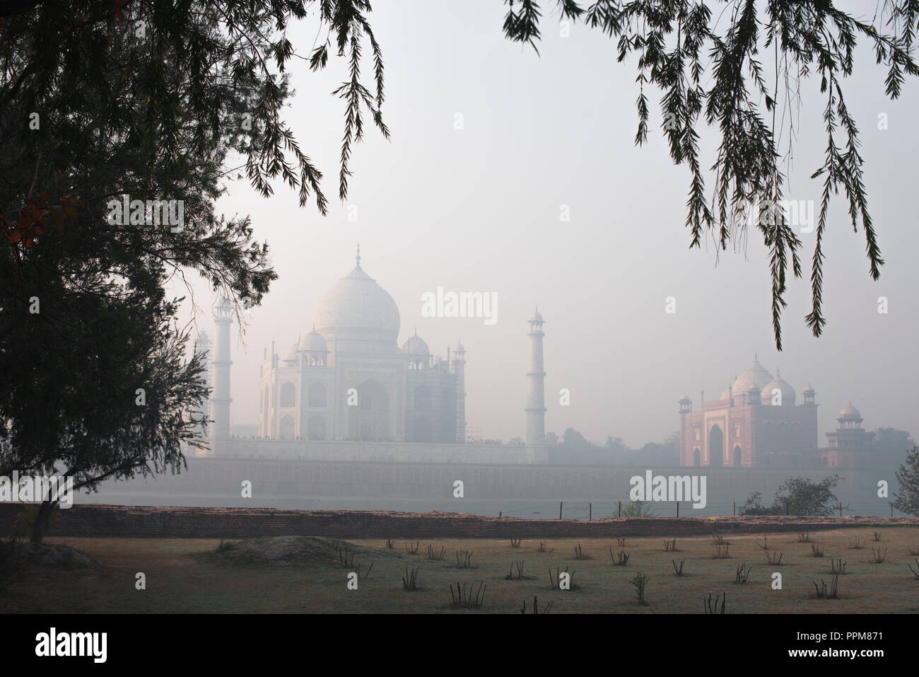 Le majestueux Taj Mahal, merveille du monde et la fierté de l'Inde en hiver doux matin lumière chaude et encadré par des branches d'arbre à Mehtab Baug partout il Banque D'Images