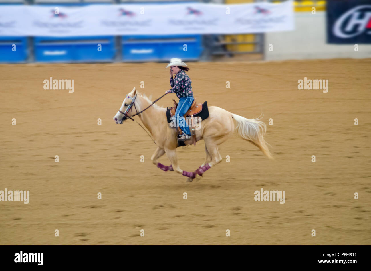 Concurrent dans le baril australienne Horse Association Finale Nationale 2018 à Australian Equine and Livestock Events Center, Tamworth NSW Australie. Banque D'Images