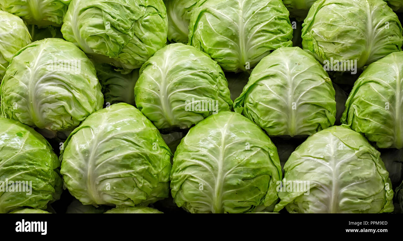 La ferme biologique, chou vert direct chefs vendus en vrac. Banque D'Images
