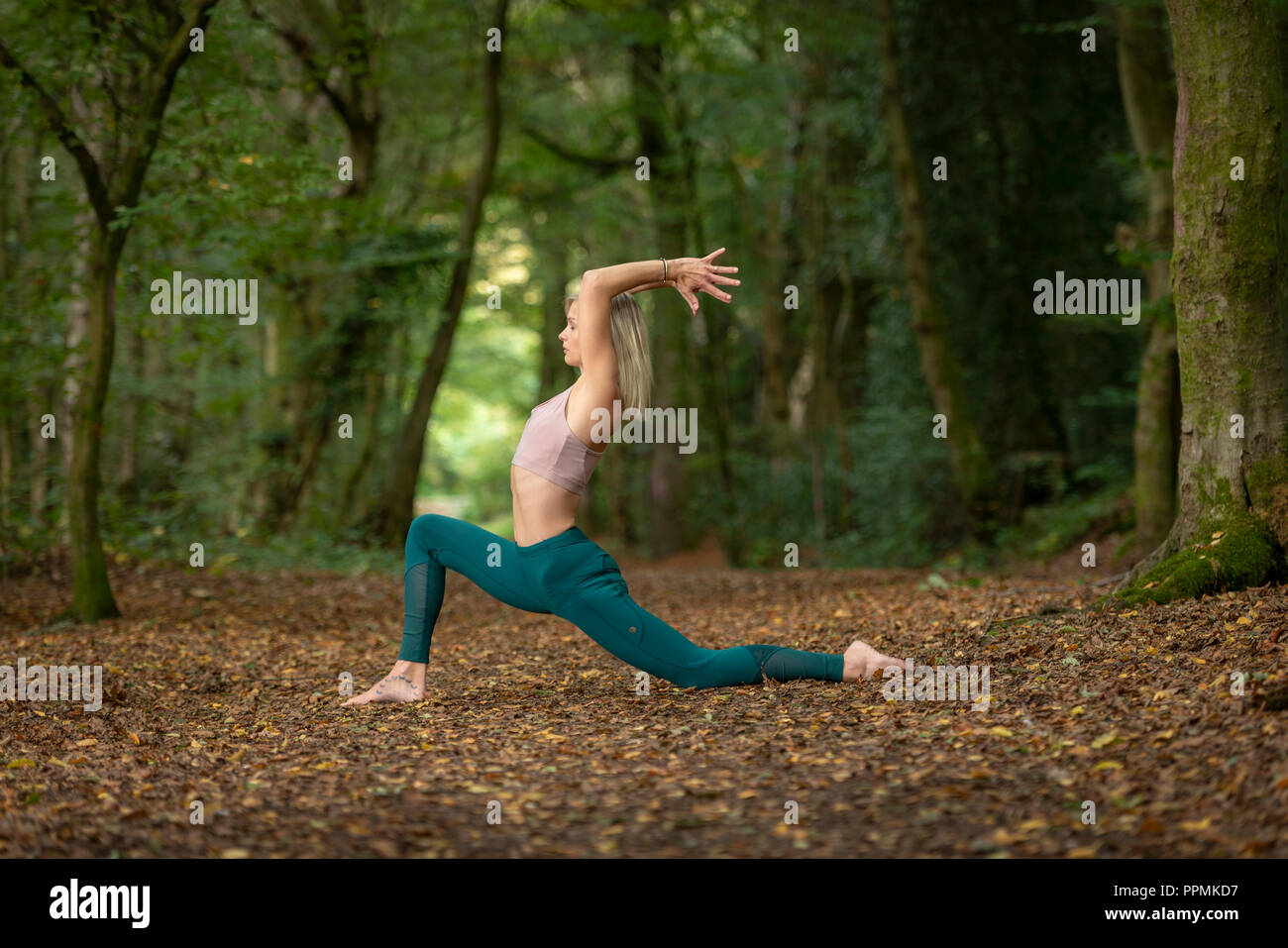 Woman practicing yoga in nature, bois. Banque D'Images