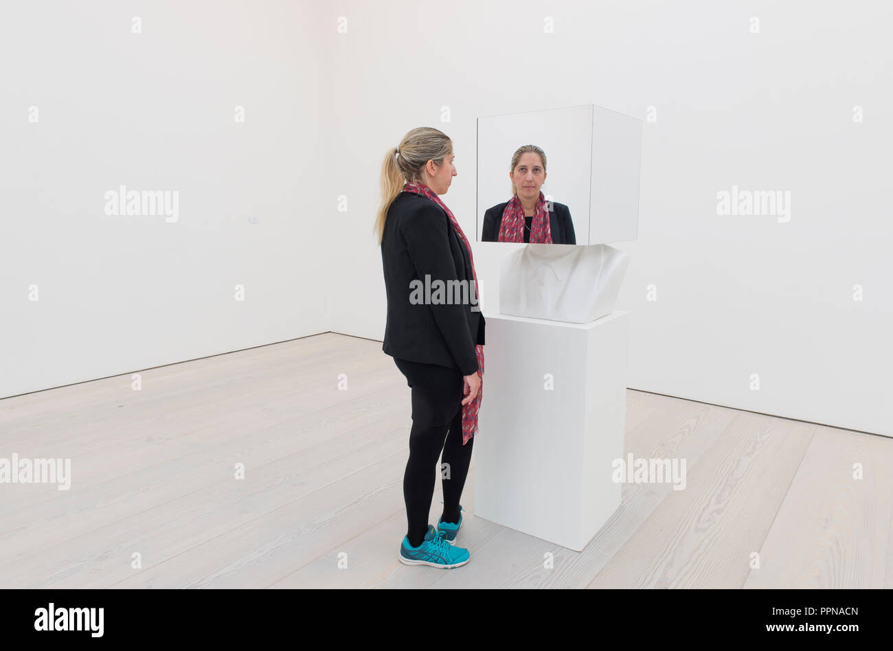 Saatchi Gallery, Londres, Royaume-Uni. 27 Septembre, 2018. Black Mirror explore le rôle de l'art dans la satire sociale, et comment l'incertitude politique a influencé l'art de ces dernières années. À un moment d'inquiétude collective, miroir noir souligne l'importance de l'art et la satire dans la dissection des structures du pouvoir, remettant en question les normes sociales, et de la visualisation de l'instabilité politique, fournissant des secours à la lumière les incertitudes de la vie. Credit : Malcolm Park/Alamy Live News. Banque D'Images