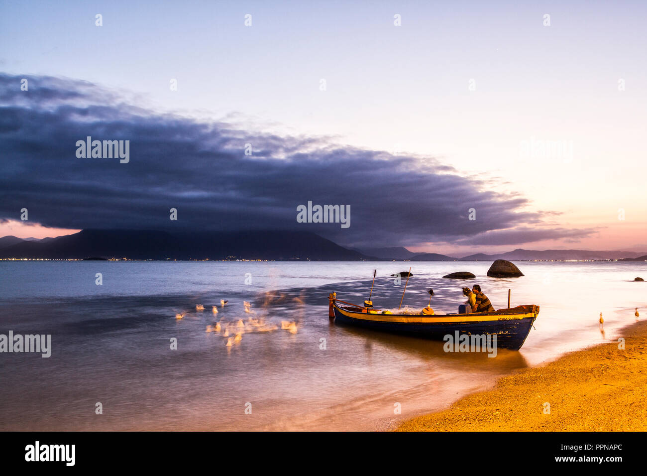 Deux hommes nourrir les mouettes en Tapera Beach le soir. Florianopolis, Santa Catarina, Brésil. Banque D'Images