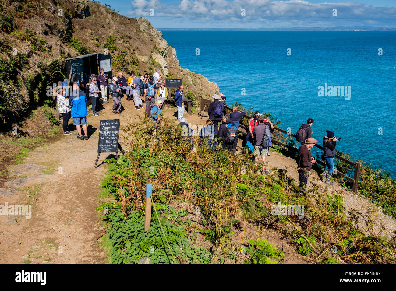 En attendant les touristes du bateau à la terre ferme sur l'île de Skomer, Pembrokeshire, Pays de Galles Banque D'Images