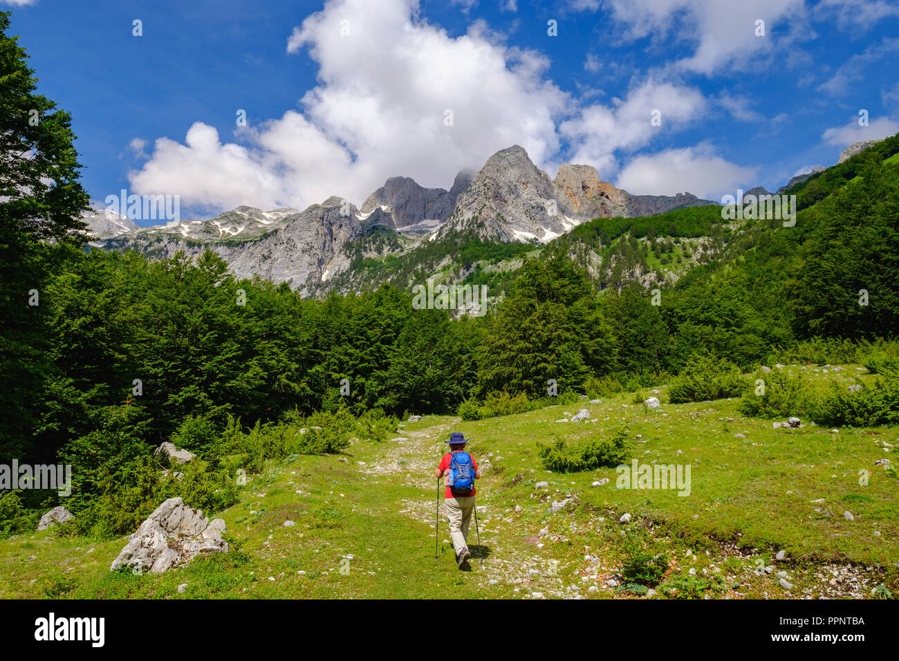 Female hiker dans Kukaj Vallée avec Jezerca, Maja e Jezercës, Valbona, Parc National des Alpes albanaises, Prokletije, Kukes Qar Banque D'Images Female hiker dans Kukaj Vallée avec Jezerca, Maja e Jezercës, Valbona, Parc National des Alpes albanaises, Prokletije, Kukes Qar Banque D'Images