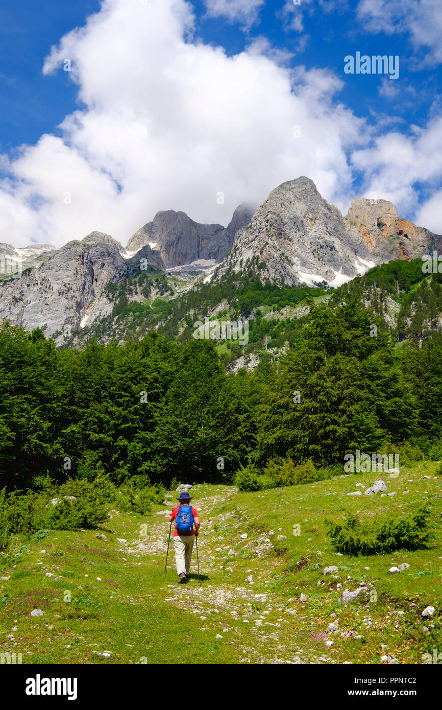 Female hiker dans Kukaj Vallée avec Jezerca, Maja e Jezercës, Valbona, Parc National des Alpes albanaises, Prokletije, Kukes Qar Banque D'Images Female hiker dans Kukaj Vallée avec Jezerca, Maja e Jezercës, Valbona, Parc National des Alpes albanaises, Prokletije, Kukes Qar Banque D'Images