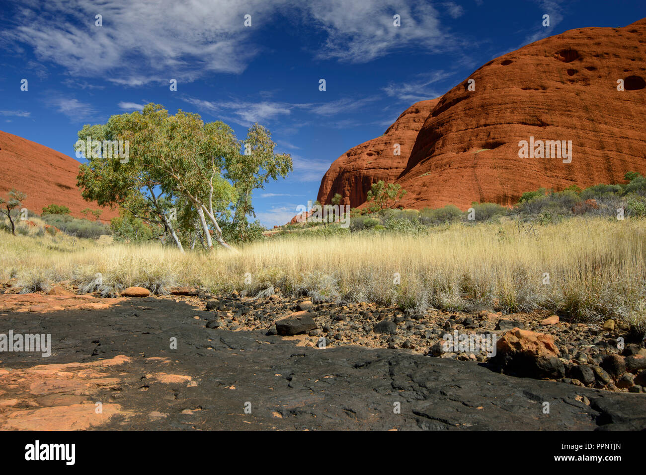 Les Olgas, Kata Tjuta National Park, Territoire du Nord, d'Uluru, Australie Banque D'Images