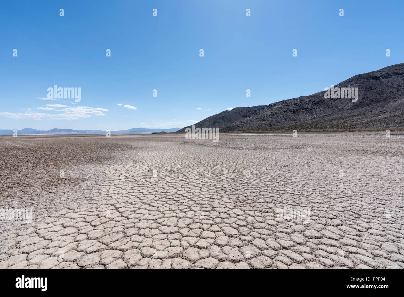 Lac sec du désert à la fin de la rivière Mojave en Californie près de Zzyzx. Banque D'Images