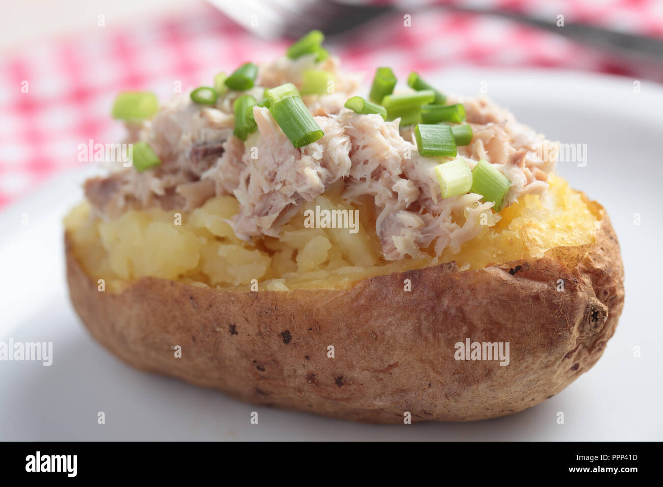 Pomme de terre au four avec salade de thon et oignon vert on white plate Banque D'Images