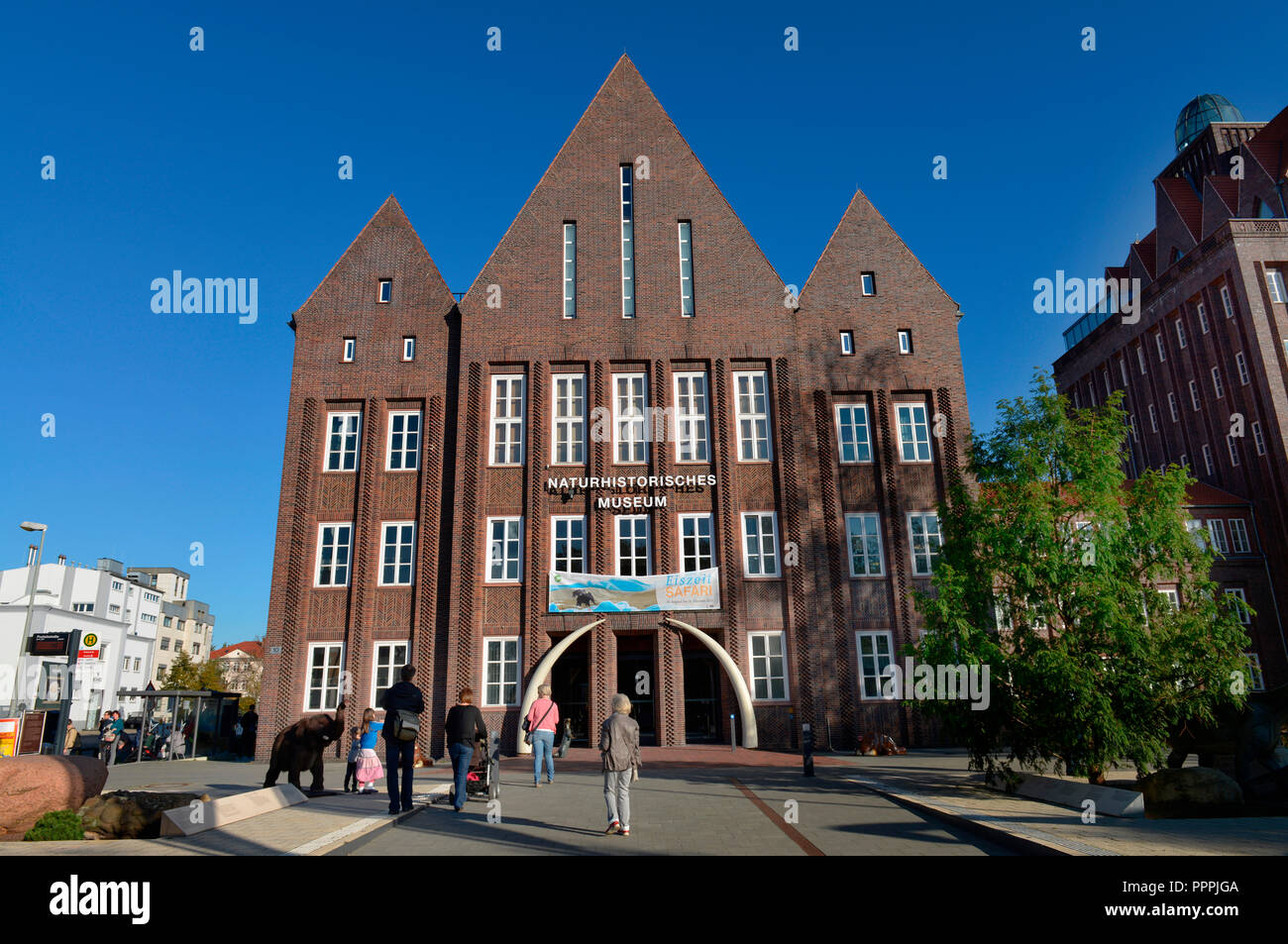 Naturhistorisches Museum, Pockelstrasse, Braunschweig, Allemagne, Deutschland Banque D'Images