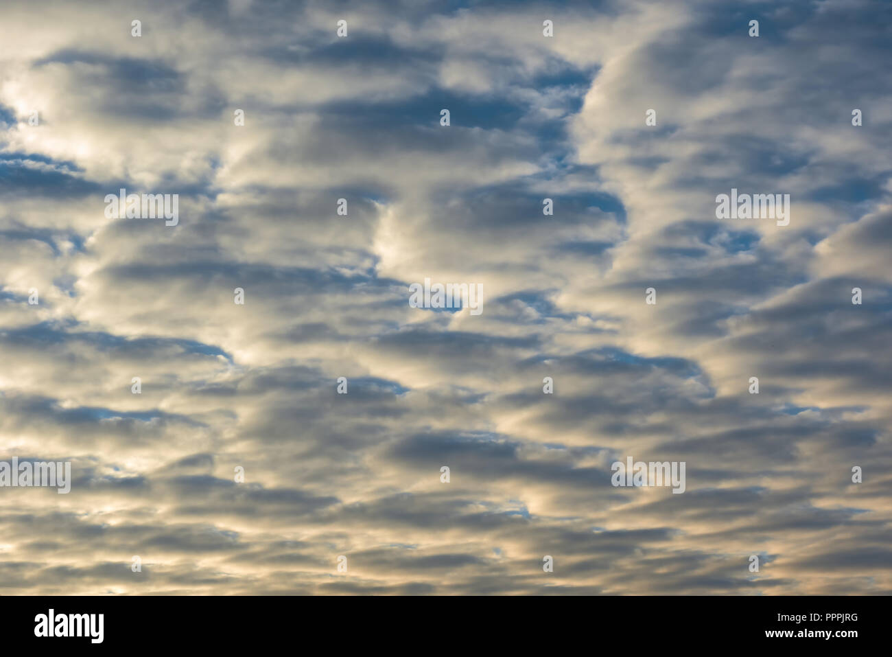 Bel sunlitted nuages denses d'or naturellement disposés en motif géométrique avec ciel bleu visible à travers les lacunes. Arrière-plan avec copie espace. Banque D'Images